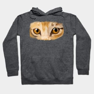 Cat Eyes Painting Hoodie